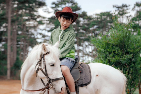 Luang Prabang: Beginner Pony Ride on Farm Trails