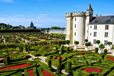 Dagsutflykt till Loire-slott med sittplats i buss från Paris