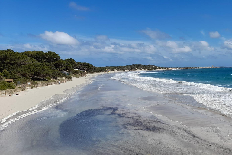 PROMENADE DANS LA NATURE, PLAGE, YOGA ET POSSIBILITÉ DE PIQUE-NIQUE BIO ET SAIN