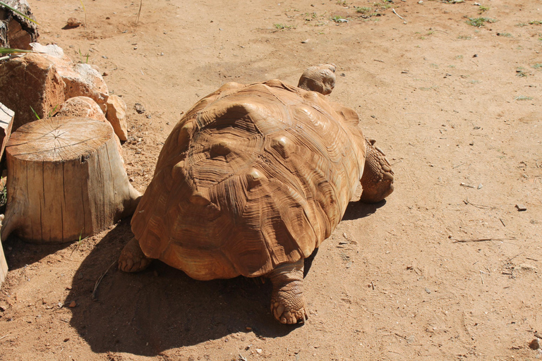 Albufeira Jeep Safari with Zoo