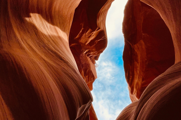 From Phoenix: Antelope Canyon &amp; Horseshoe Bend Day Trip