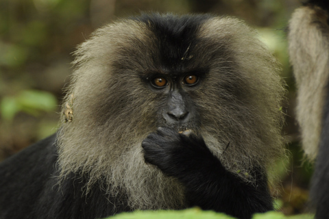 Łódź: City Highlights Private Tour & Orientarium Zoo Visit