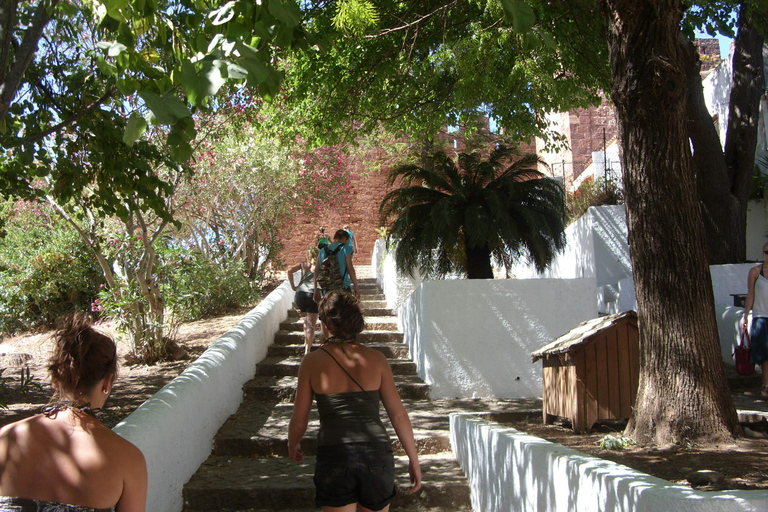 Monchique & Silves: guided day trip