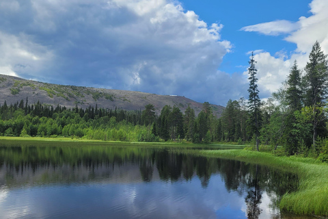 Lapponia: Escursione guidata nella natura incontaminata di Luosto