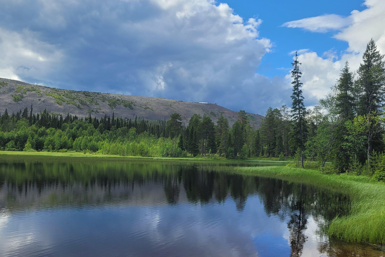 Lapponia: Escursione guidata nella natura incontaminata di Luosto