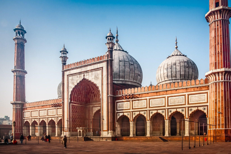 From Delhi: Private 5 Days Golden Triangle Guided Tour Private Tour with Car, Guide and 5 Star Hotel Accommodation