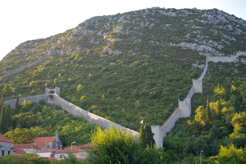 Depuis Dubrovnik : péninsule de Pelješac et île de KorčulaVisite en anglais