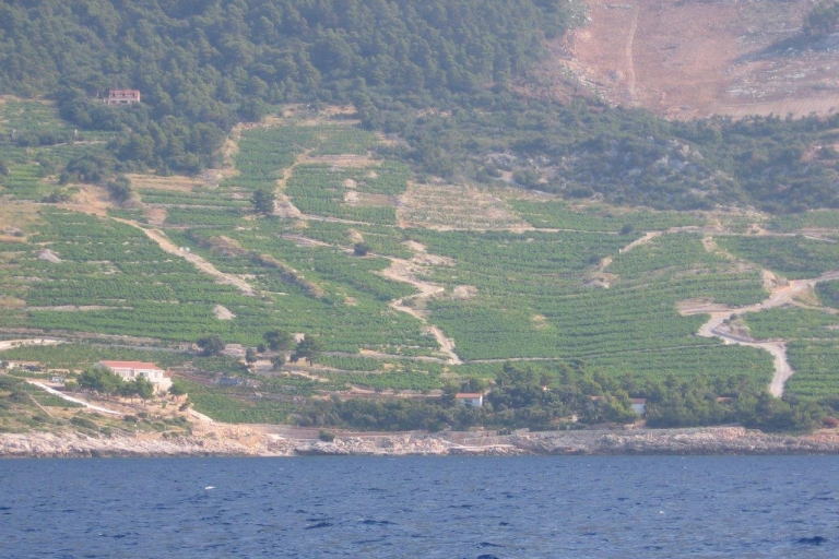 Ab Dubrovnik: Private Tagestour Korčula und Ston