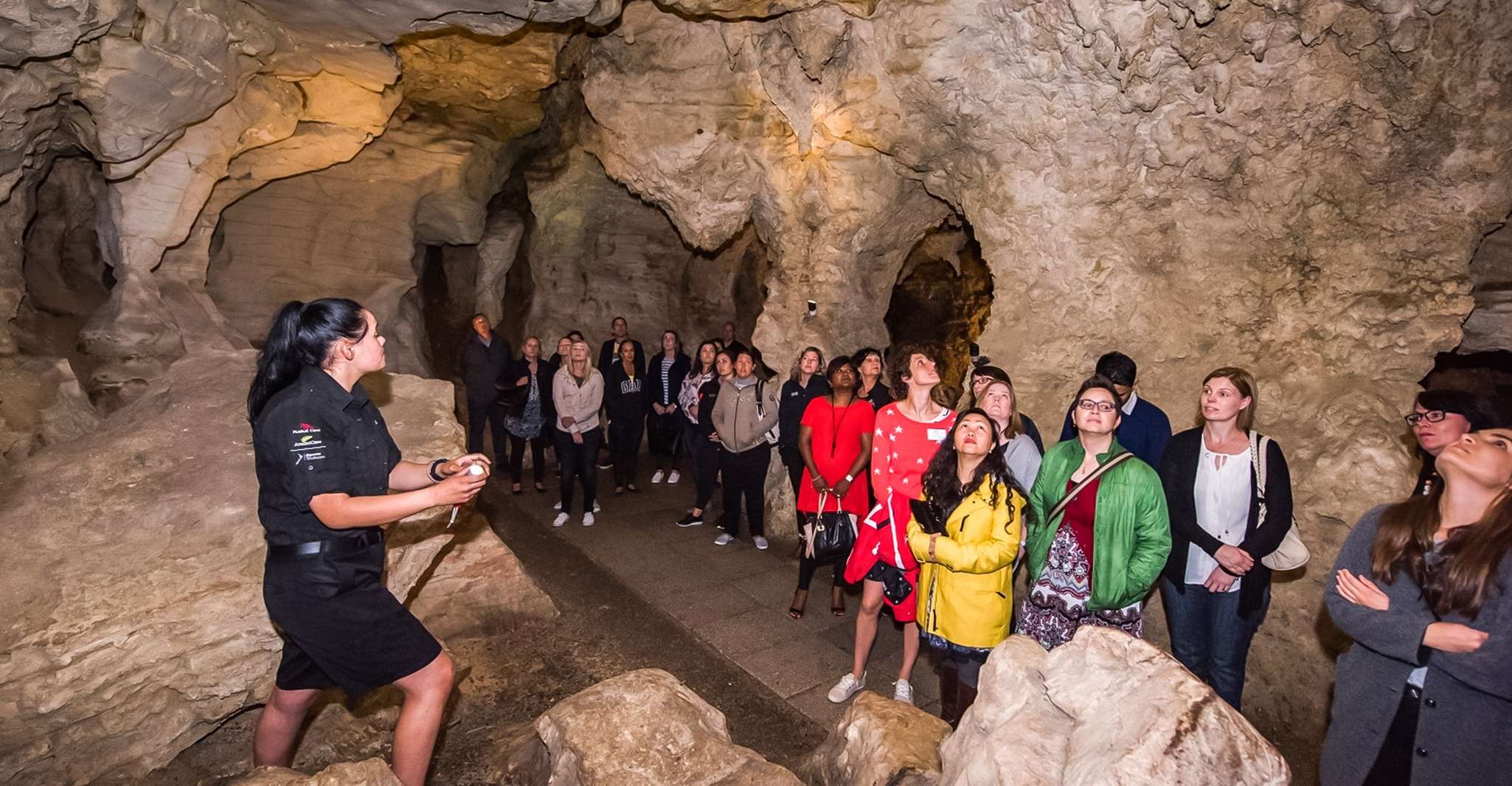 Waitomo, Glowworm Caves Guided Tour by Boat - Housity