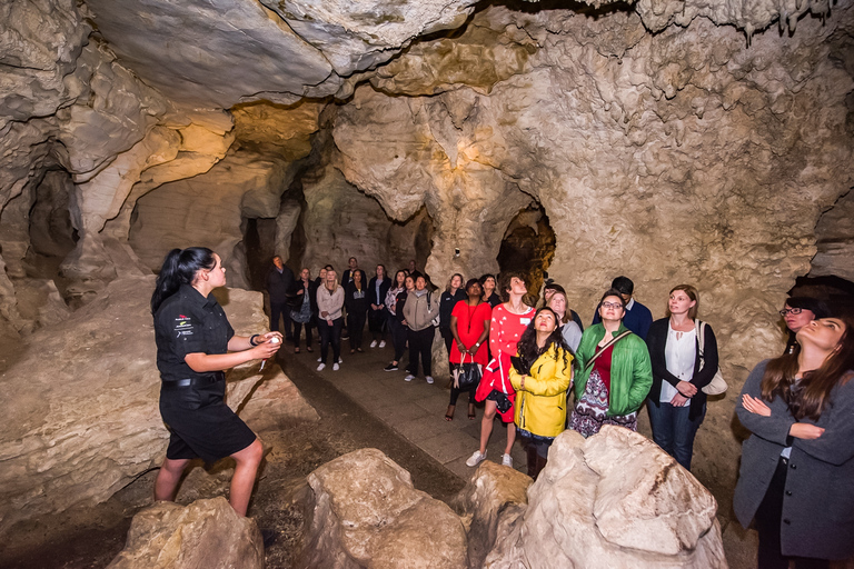 Waitomo: Jaskinie Glowworm Wycieczka z przewodnikiem łodziąWaitomo: rejs z przewodnikiem po jaskiniach Waitomo Glowworm