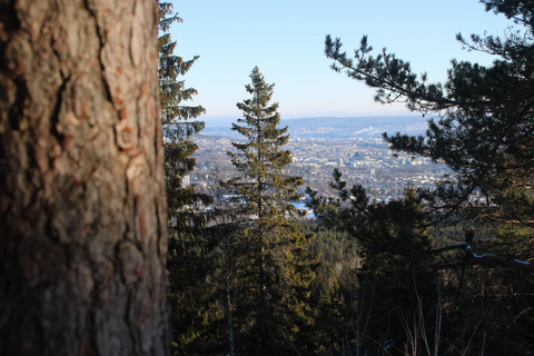 Vettakollen: Breathtaking Panoramic Views of the Oslofjord Vettakollen: Breathtaking views of the Oslofjord