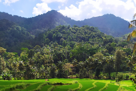 Kandy city tour and village tour in one day