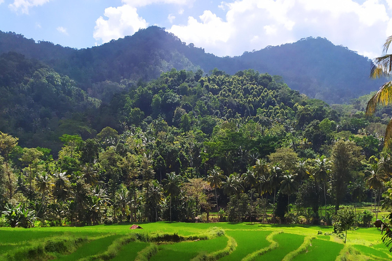 Kandy city tour and village tour in one day