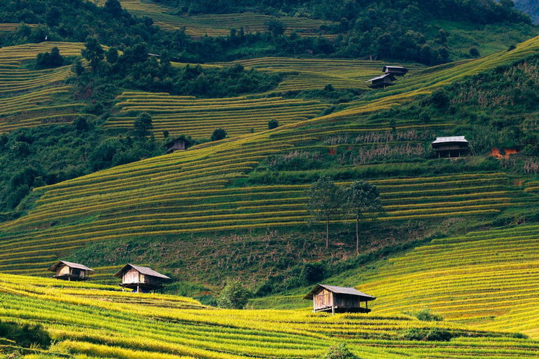 Tour Ha Noi - Mu Cang Chai treckking 3 days 2 nights