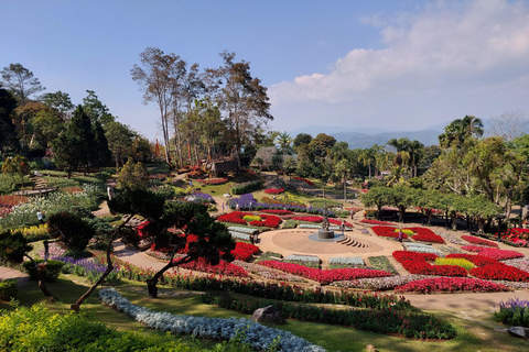 Chiang Rai: Mountains Discovery Doi Mae Salong & Doi Tung Mountains Discovery:Doi Mae Salong & Doi Tung (Private Tour)