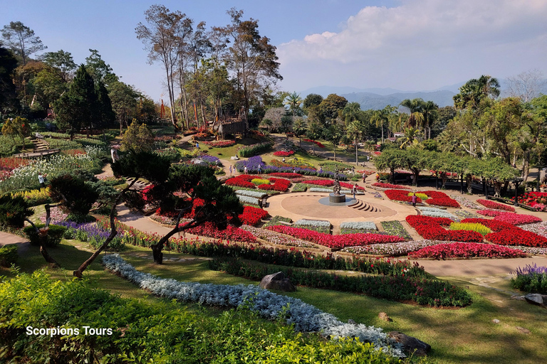 Chiang Rai: Mountains Discovery Doi Mae Salong & Doi Tung Mountains Discovery:Doi Mae Salong & Doi Tung (Private Tour)