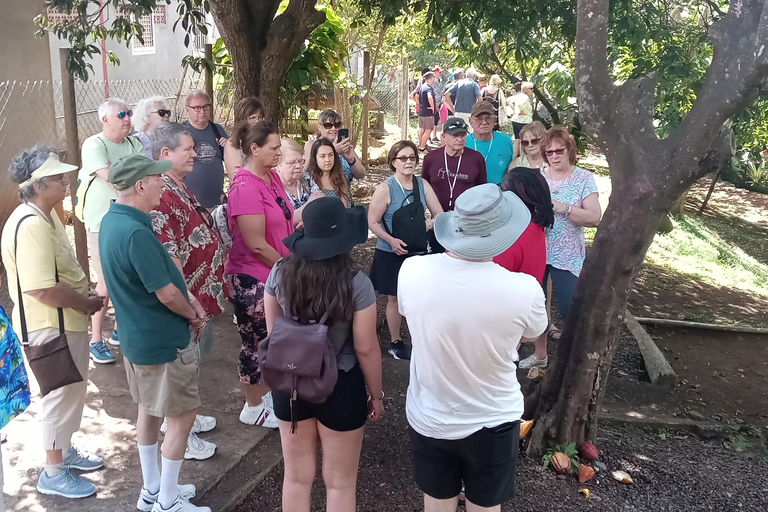 Esplora la magia di Grenada: tour privato dell&#039;isola delle spezie