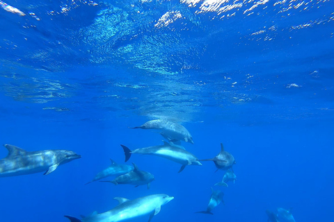 Sal Island: Full-Day Sailing Trip with Lunch & Drinks Full-Day Ocean Escape by Sailing Yacht with Lunch & Drinks