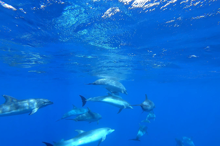 Sal Island: Full-Day Sailing Trip with Lunch & Drinks Full-Day Ocean Escape by Sailing Yacht with Lunch & Drinks