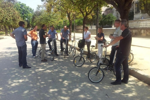 Sevilla: Halbtägige, private Tour auf einem E-Bike