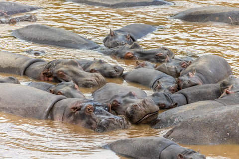 3-Day Maasai Mara Safari