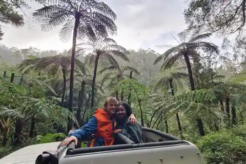 Madeira en un día: Funchal y Puntos Destacados del Este