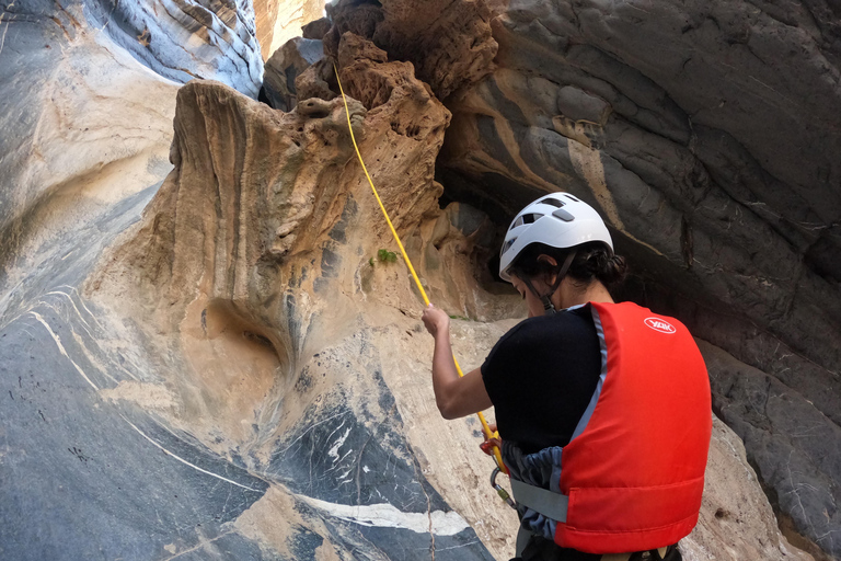 Journée complète d'aventure dans le canyon des serpents (Wadi Bani Awf)Excursion d'une journée dans le canyon des serpents