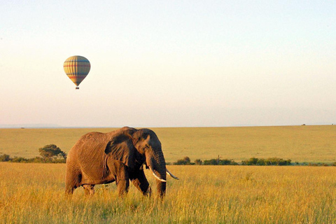 Impresionante excursión de un día al Parque Nacional del Lago Manyara