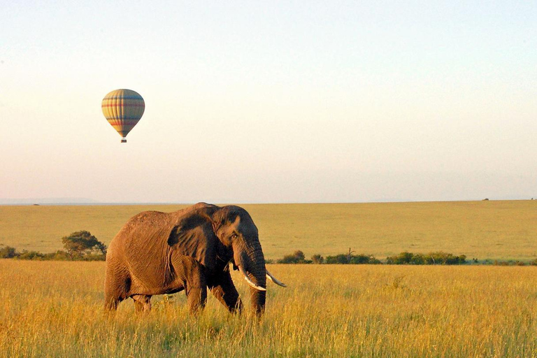 Hisnande dagsutflykt till Lake Manyara National Park