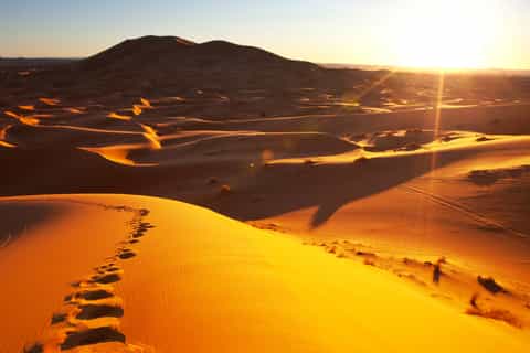 From Merzouga: Overnight Camel Trek over Erg Chebbi Dunes
