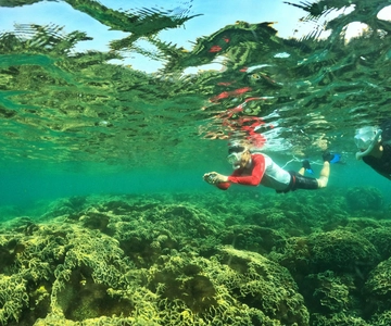 From Phu Quoc: Discover 4 Islands by Speedboat Full Day Tour