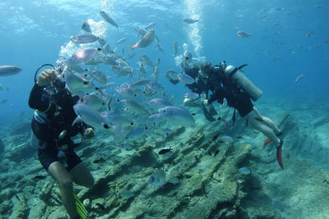 Marmaris: Full-Day Scuba Diving Trip with Lunch & Pickup Scuba Diving Experience (Meeting Point)
