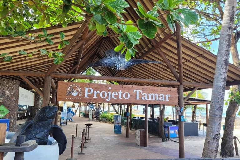 Saindo de Salvador: Passeio para Praia do Forte e Guarajuba