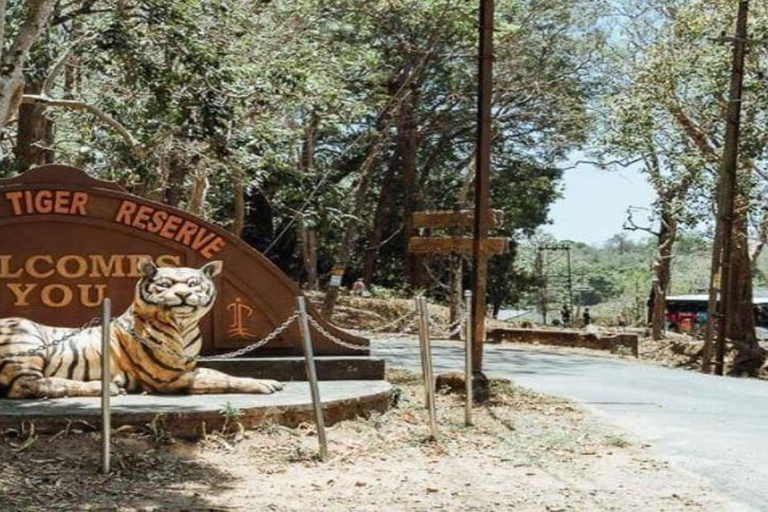 海得拉巴：柯钦 3 日游（含机票和酒店）海得拉巴：3 天科钦之旅（含机票和酒店）