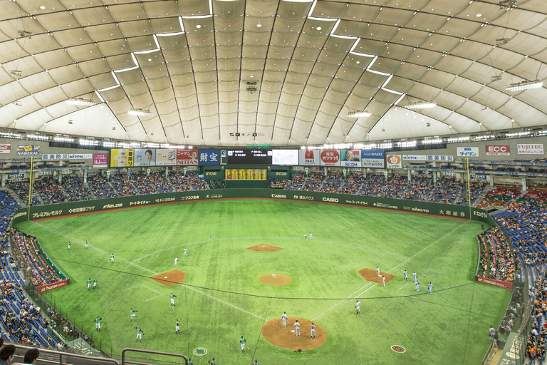 Tokyo: Live Japanese Baseball with a Local Guide in English or Spanish Tokyo: Live Japanese Baseball with a Local Guide in Spanish
