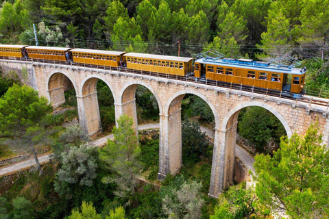 Mallorca: Tour of the Island — Boat, Tren de Sóller, Tram, Lluc, and Calobra Mallorca: Return to the Island — Boat, Tren de Sóller, tram, Lluc, and Calobra