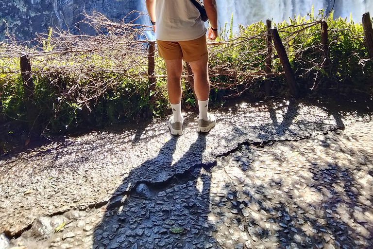 Victoria falls Rainforest: Guided Sunrise, day & sunset Tour
