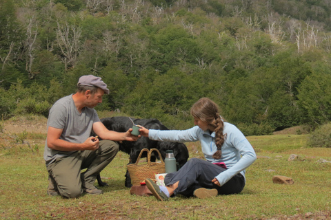 San Martín de los Andes: a 4x4 guided tour to the Mallin