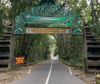 Banyuwangi、ヴァンによるグループのドライバーとのプライベートカーチャーター - Housity