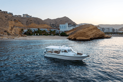 Muscat: 3 Stunden Delfinbeobachtung und Schnorcheltour