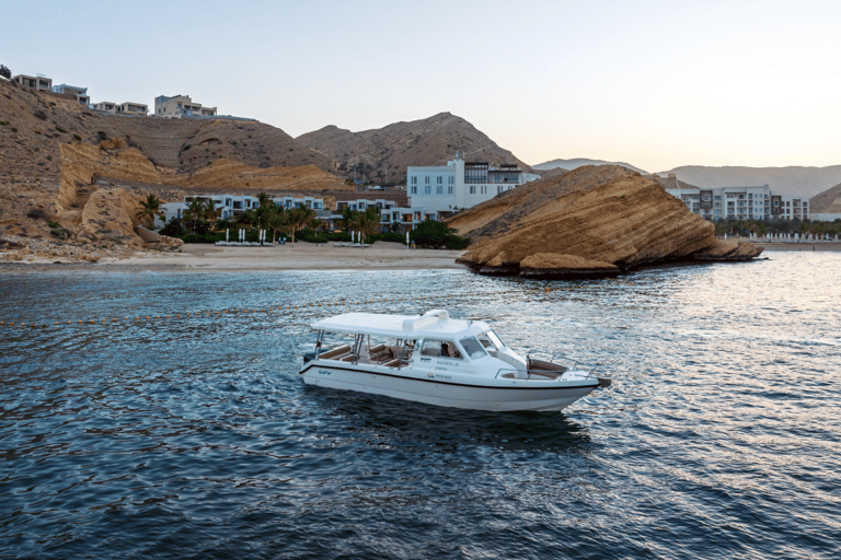 Muscat: 3 timmars delfinskådning och snorkling