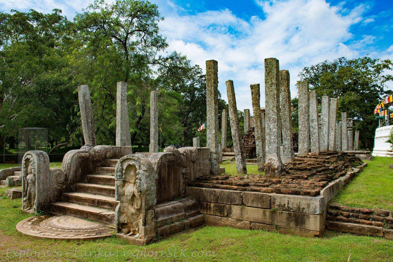 Ancient Polonnaruwa Stories & Minneriya Safari from Sigiriya