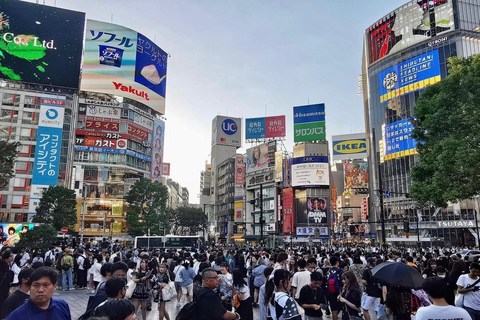 Tokio Stadtführung mit englischsprachigem Fahrer.