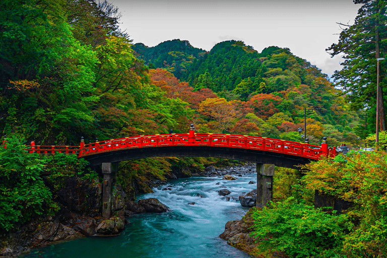 De Tóquio: Passeio turístico particular a Nikko com traslados