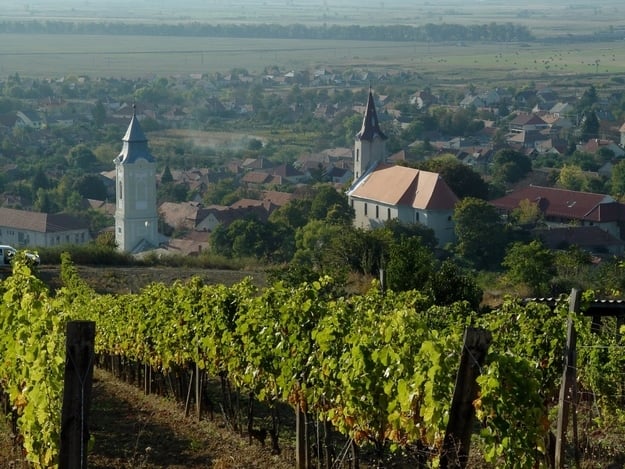 Tour privato di Tokaj e Sárospatak da Budapest