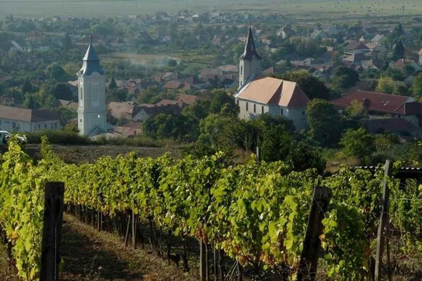 Tokaj Private Day Tour from Budapest