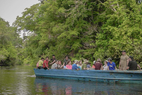 From Iquitos || 4-day tour of the northern Amazon ||