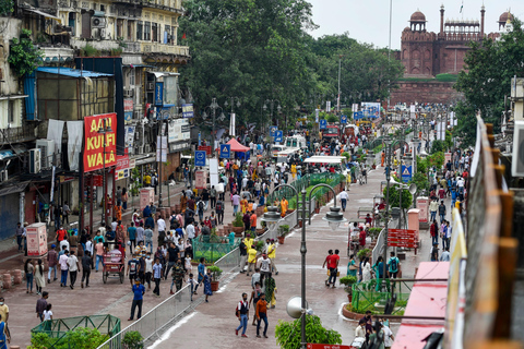 Delhi: Vieja y Nueva Delhi Tour guiado privado por la ciudadSólo Guía Profesional de Turismo