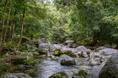 Port Douglas: Mossman Gorge Cultural Walk with Transfers