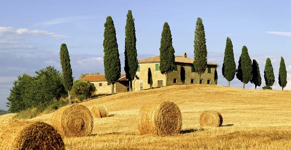 Shore Trip from La Spezia: Pisa,Lucca,lunch & tasting Winery